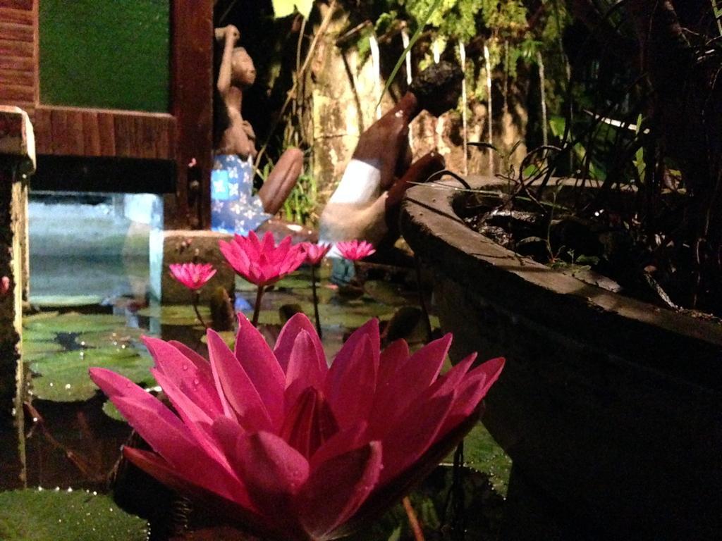 The Lotus Garden Bed & Breakfast Puerto Princesa Exterior foto