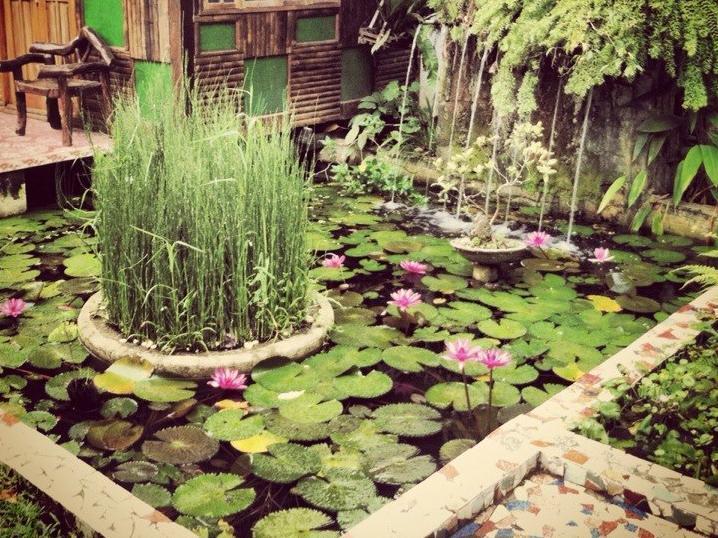 The Lotus Garden Bed & Breakfast Puerto Princesa Exterior foto